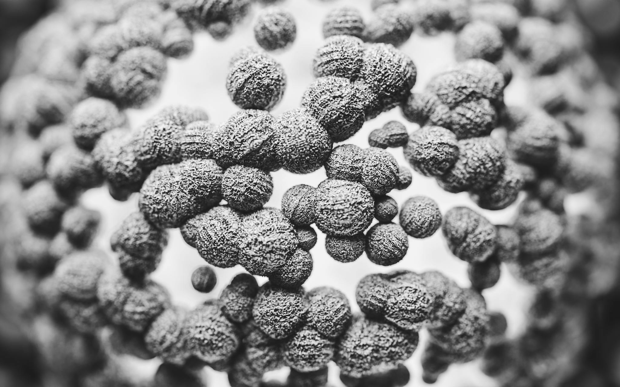 Detailed black and white macro image of antibodies showcasing intricate textures in microscopic science.