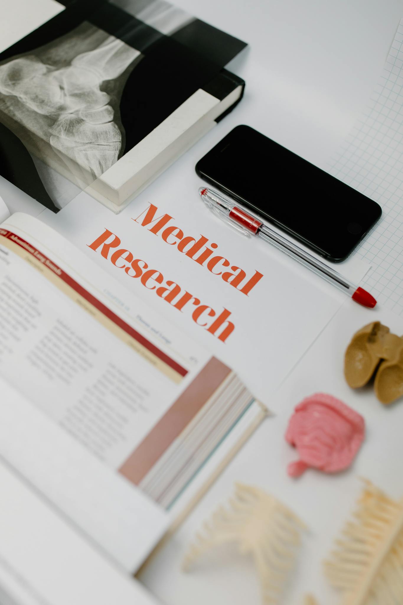 Flat lay of medical research materials with books and anatomical models.